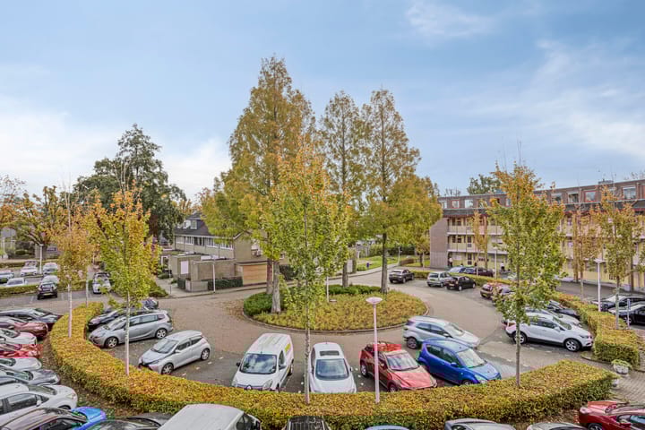 Photo 20 of Omnium 33