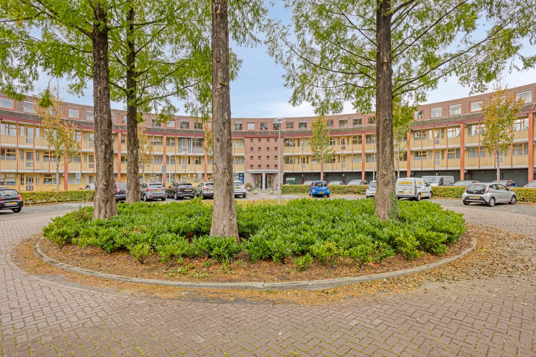 Photo 22 of Omnium 33