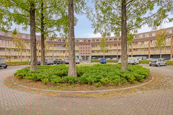 Photo 22 of Omnium 33