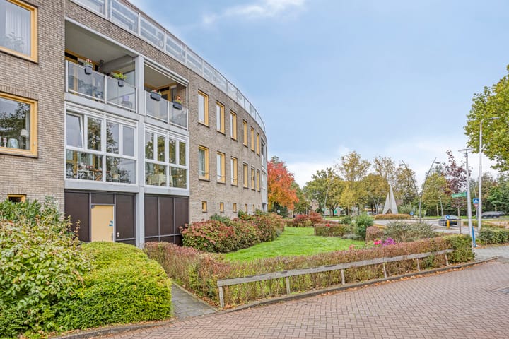 Omnium 33 main image