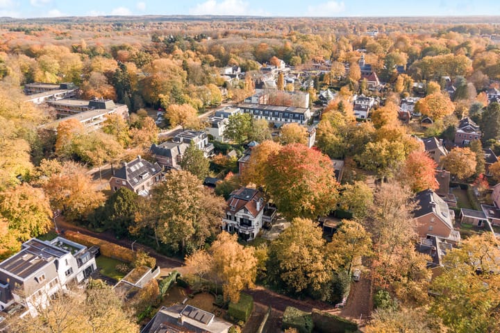 Photo 3 of Koningin Wilhelminalaan 1