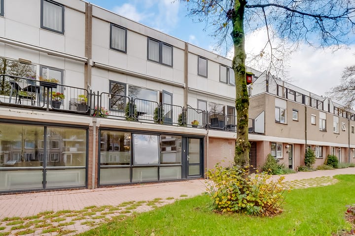 Photo 3 of de Lei 47