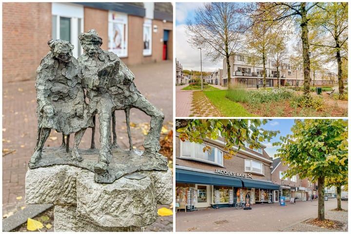 Photo 24 of de Lei 47