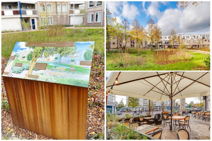 Photo 28 of de Lei 47