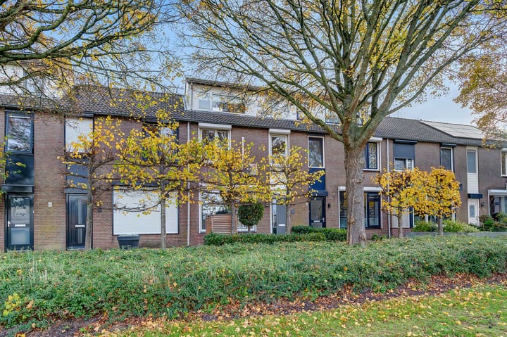 Photo 41 of Druivenberg 11