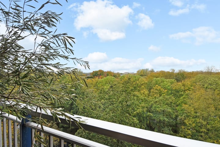 Foto 14 van Adama van Scheltemaplein 14