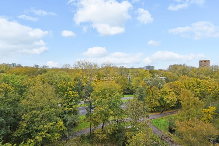 Foto 15 van Adama van Scheltemaplein 14