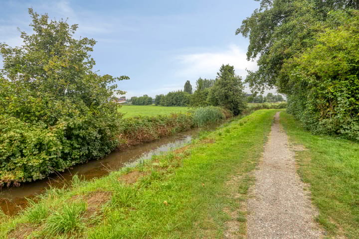 Foto 39 van Graspieper 20