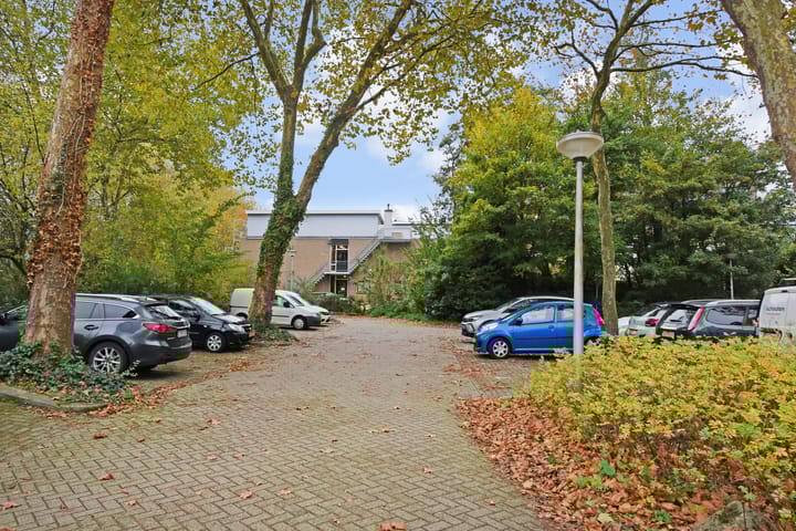 Foto 42 van Adama van Scheltemaplein 14