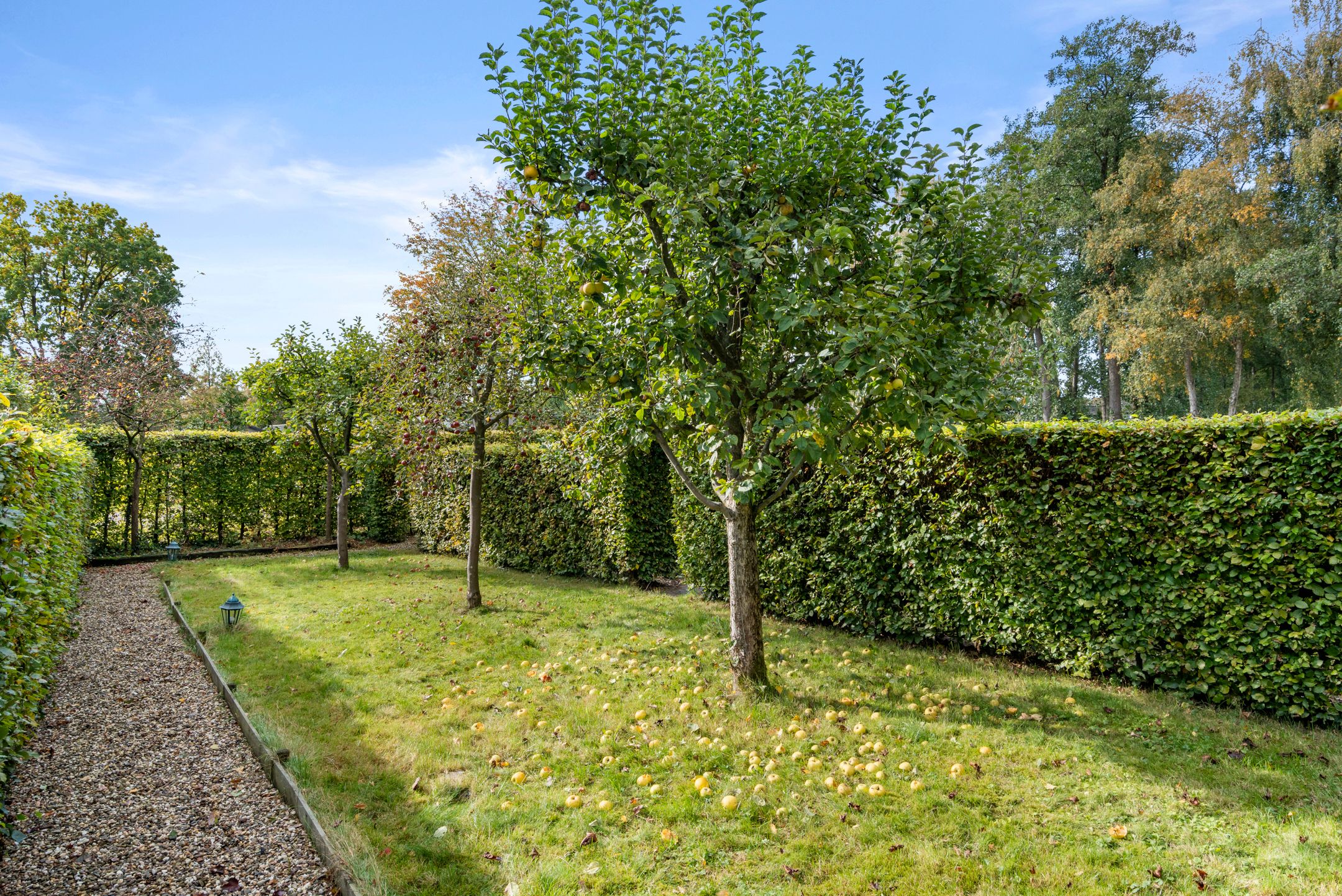 Photo 57 of Roekelseweg 15