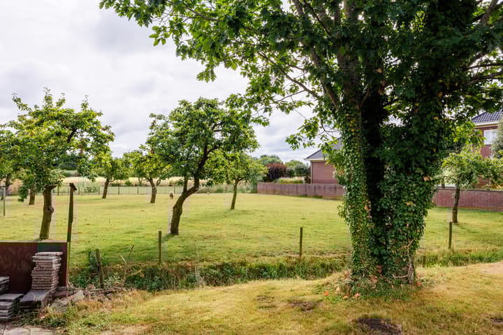 Photo 39 of Oude Maasdijk 7