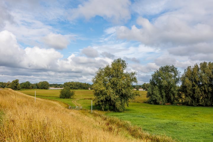 Photo 41 of Oude Maasdijk 7