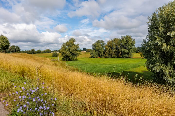Photo 40 of Oude Maasdijk 7