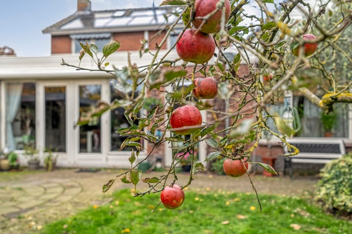 Photo 31 of Burgemeester Nijsinghweg 22