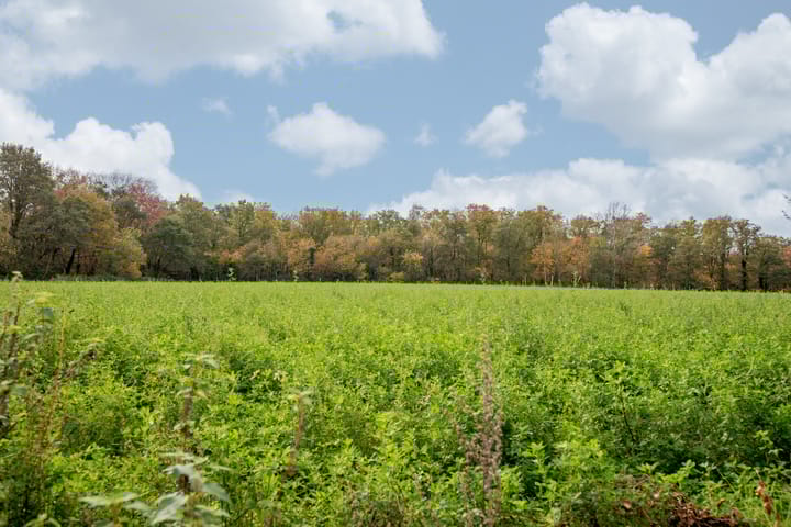 Foto 25 van Wambacherhof 76