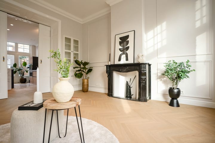 Foto 13 van Van Boetzelaerlaan 310