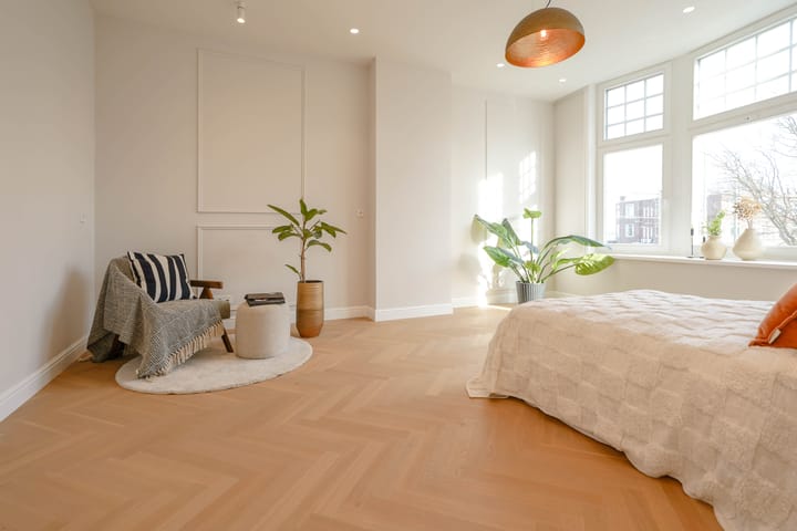 Foto 35 van Van Boetzelaerlaan 310