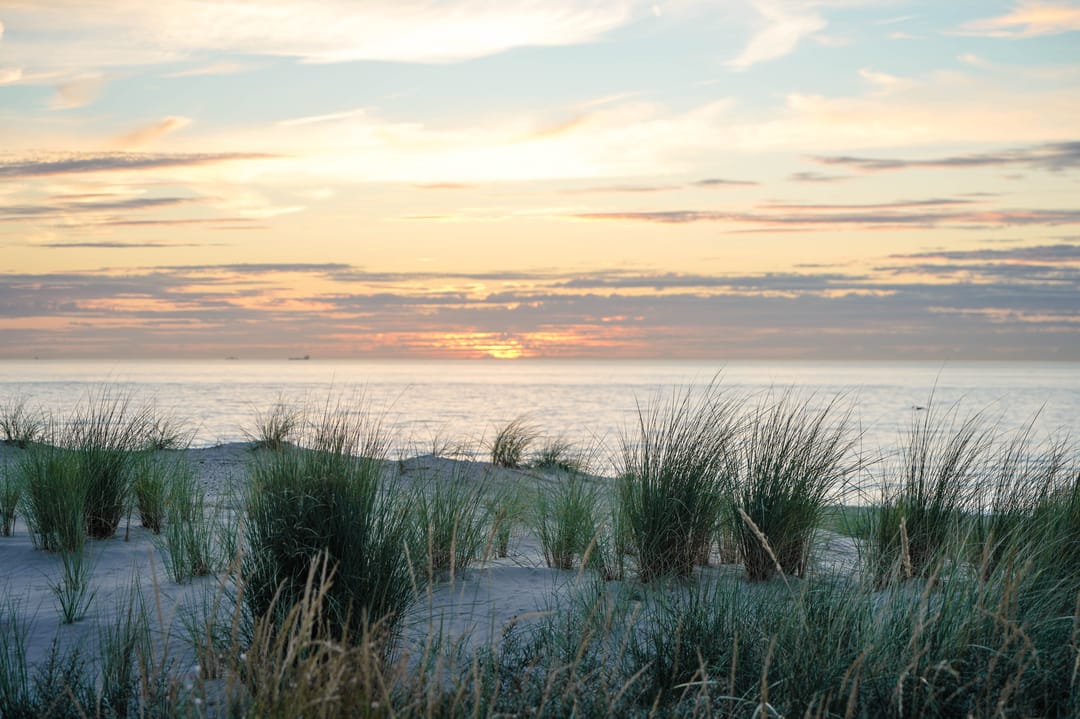 Foto 82 van Van Boetzelaerlaan 310