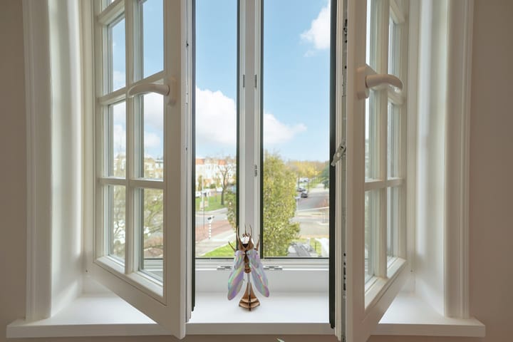 Foto 69 van Van Boetzelaerlaan 310