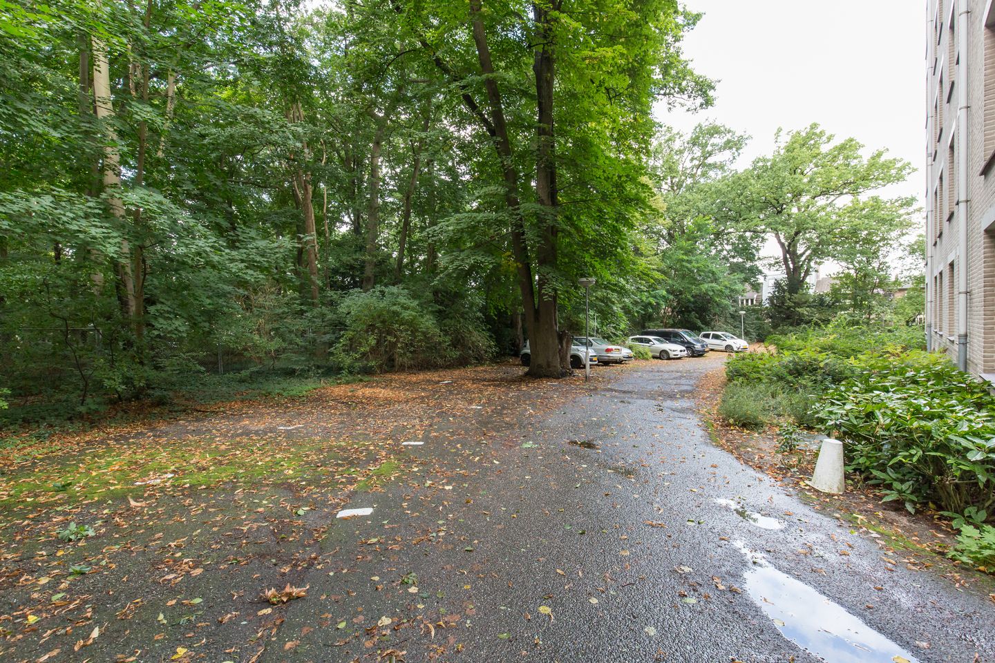 Foto 29 van Oude Graafseweg 217