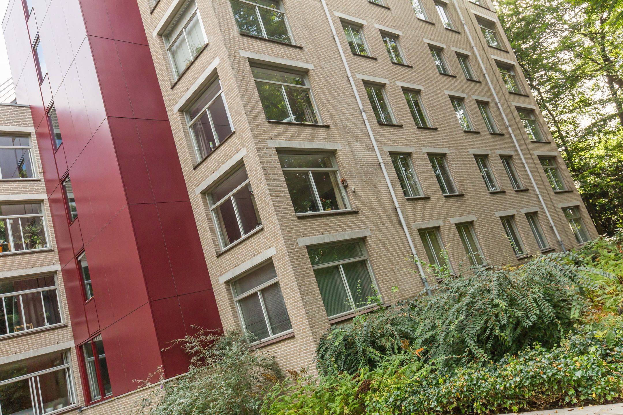 Foto 39 van Oude Graafseweg 217