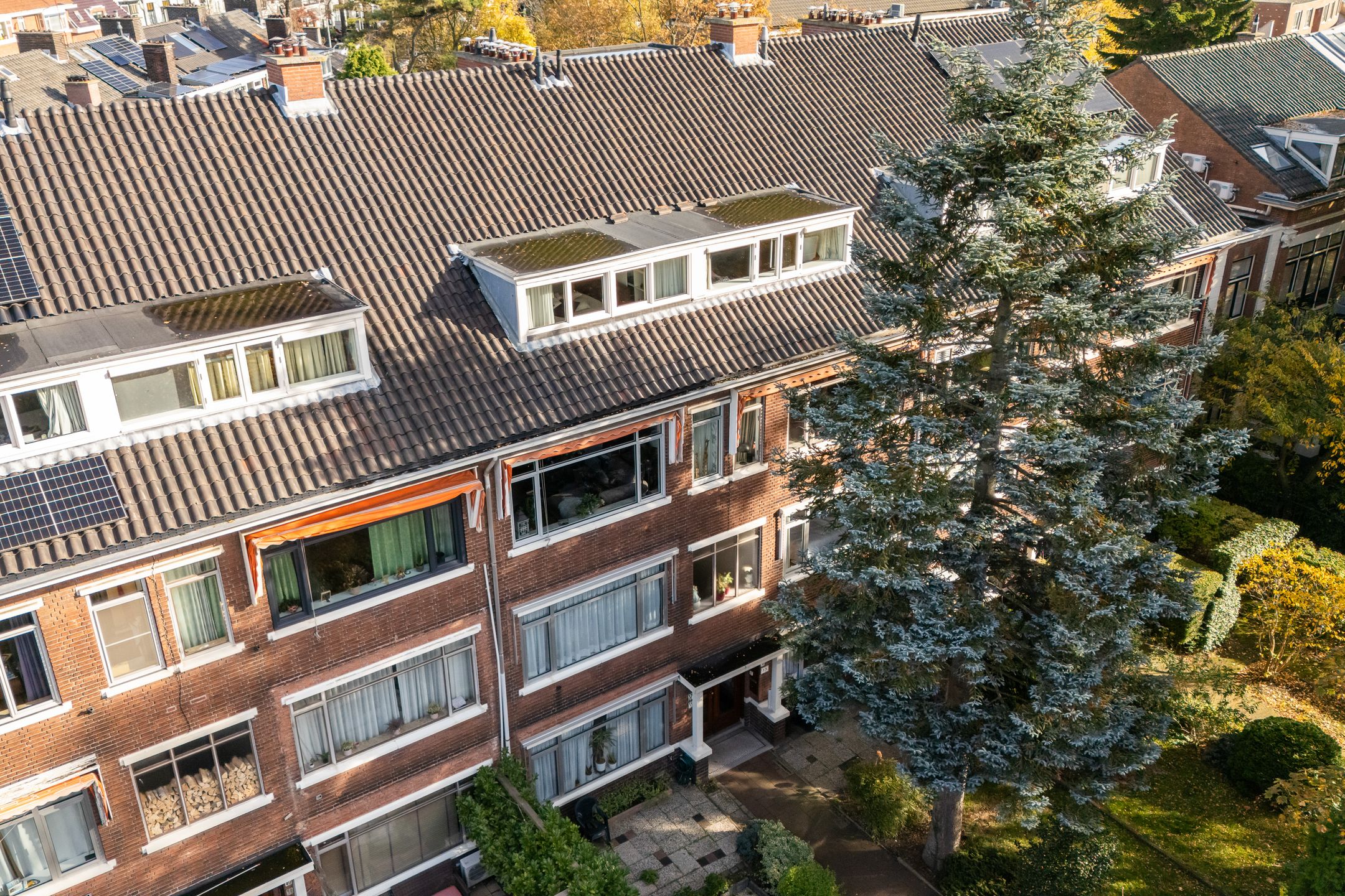 Photo 48 of Zwartelaan 37