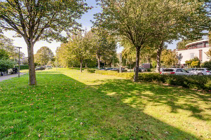 Foto 35 van Buñuellaan 117