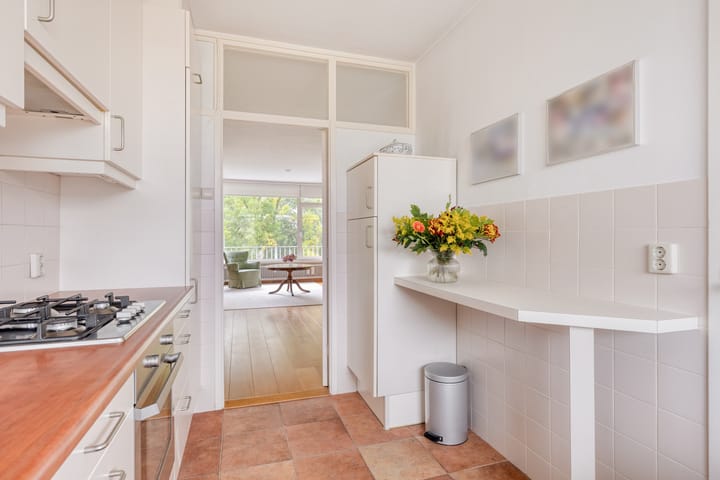 Foto 20 van Frans Halslaan 113