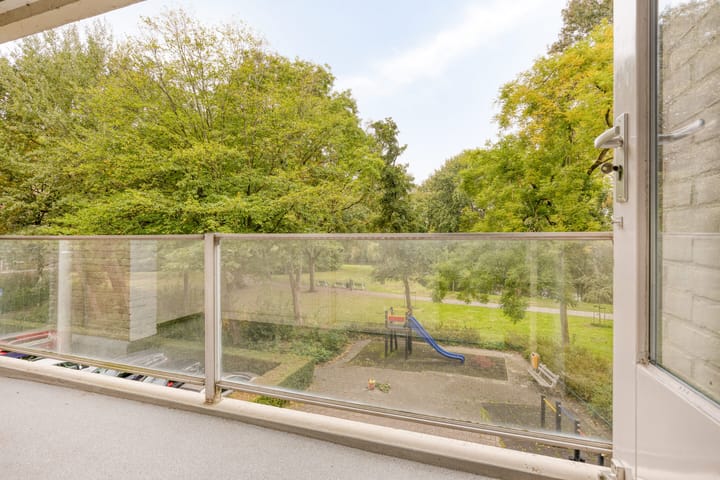 Foto 29 van Frans Halslaan 113