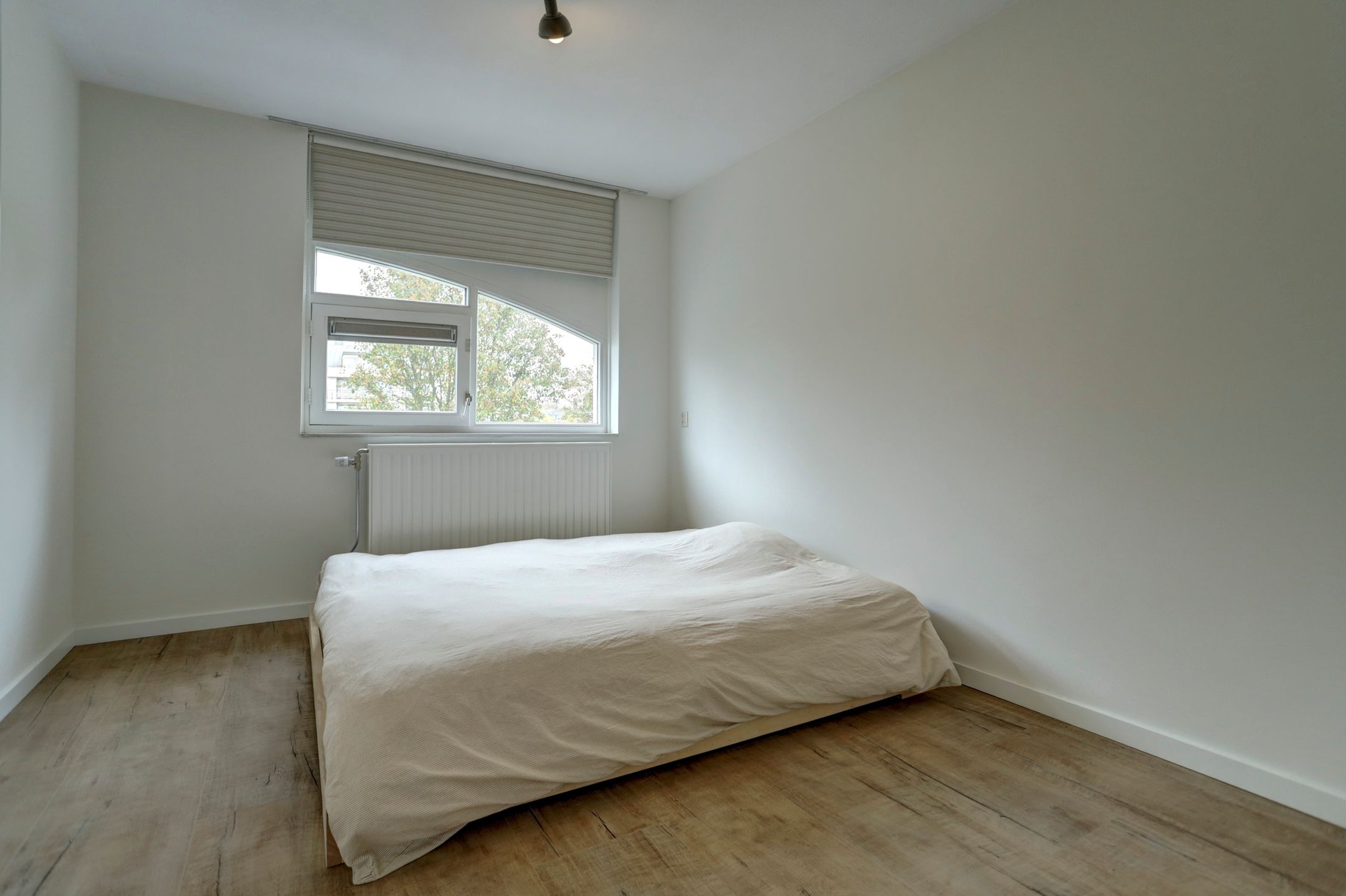 Foto 12 van Doctor Cuypersstraat 38-A