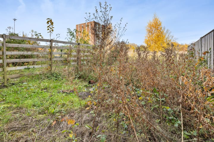 Foto 33 van Zandbank 9