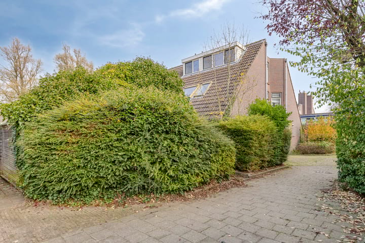 Foto 4 van Molbord 16