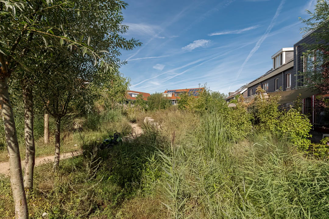 Photo 8 of Ed Hoornikhof 12