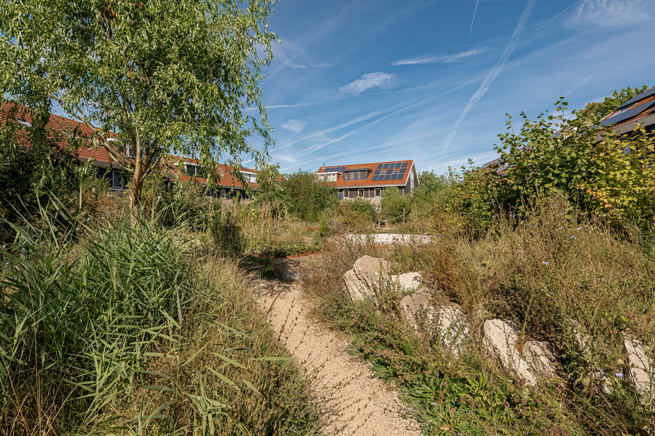 Photo 9 of Ed Hoornikhof 12