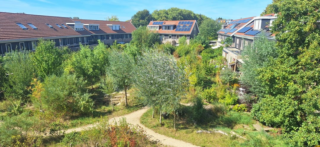 Photo 43 of Ed Hoornikhof 12