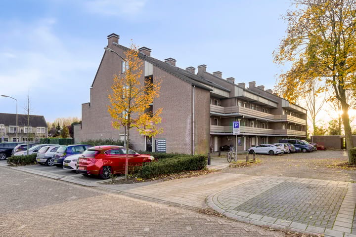 Photo 6 of Peellaan 157