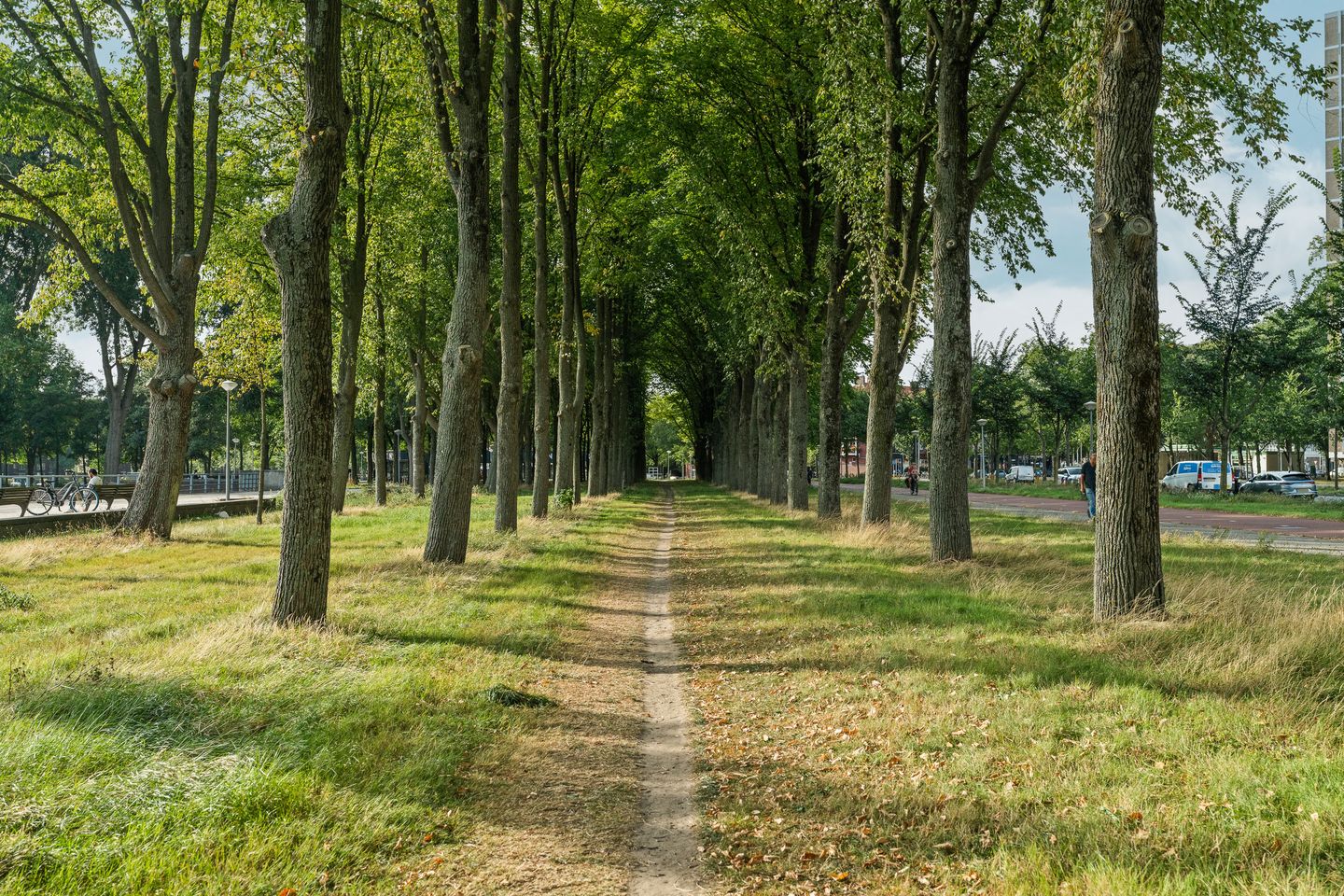 Foto 25 van Burgemeester Hogguerstraat 789-E