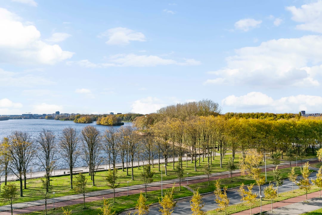 Photo 26 of Burgemeester Hogguerstraat 621