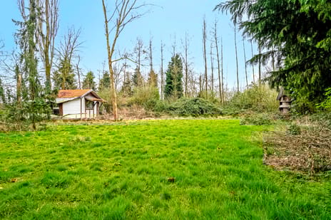 Horstweg 3 tertiary image