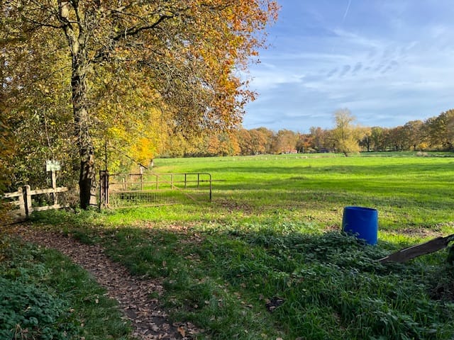 View photo 1 of Landreben