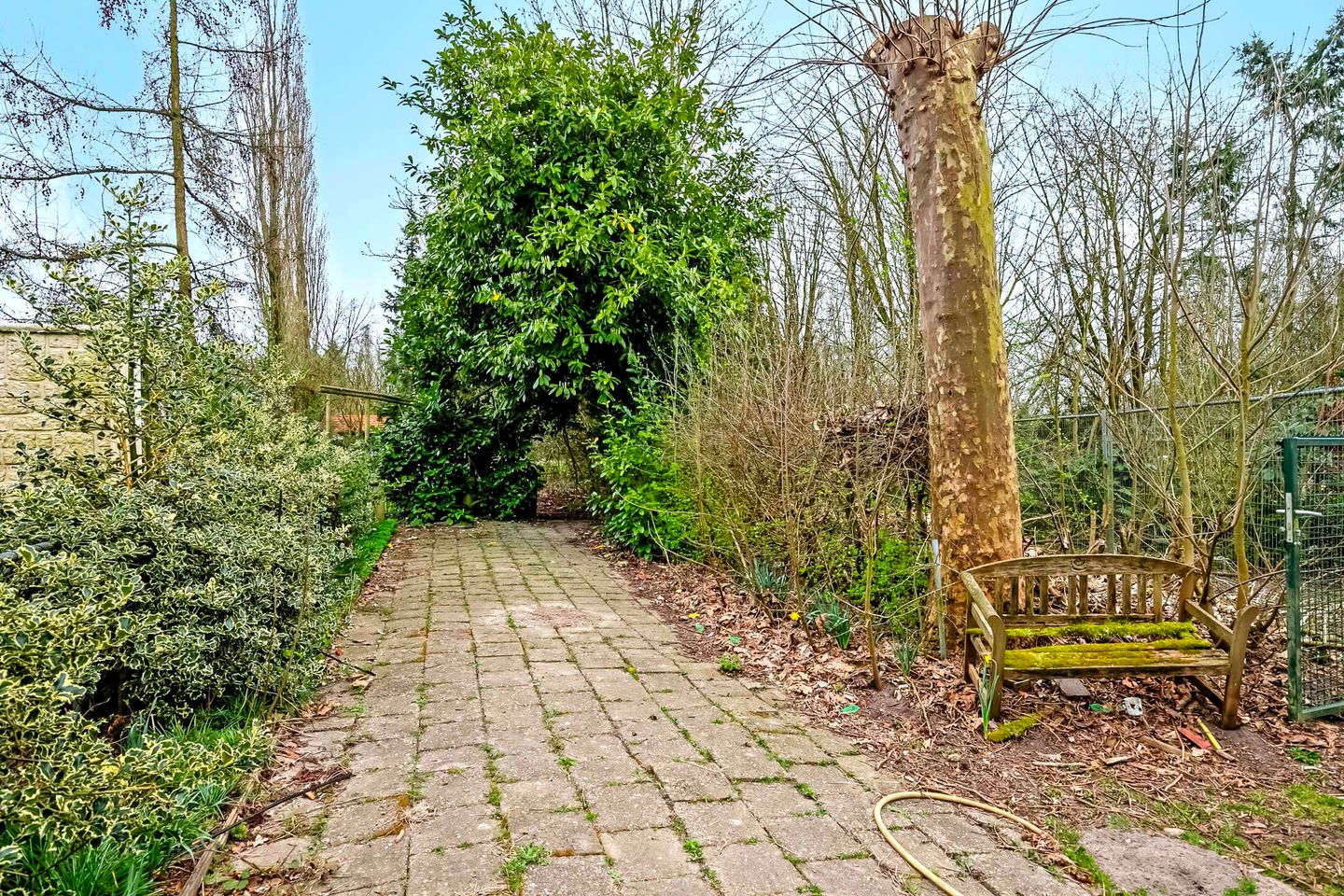 Foto 64 van Horstweg 3