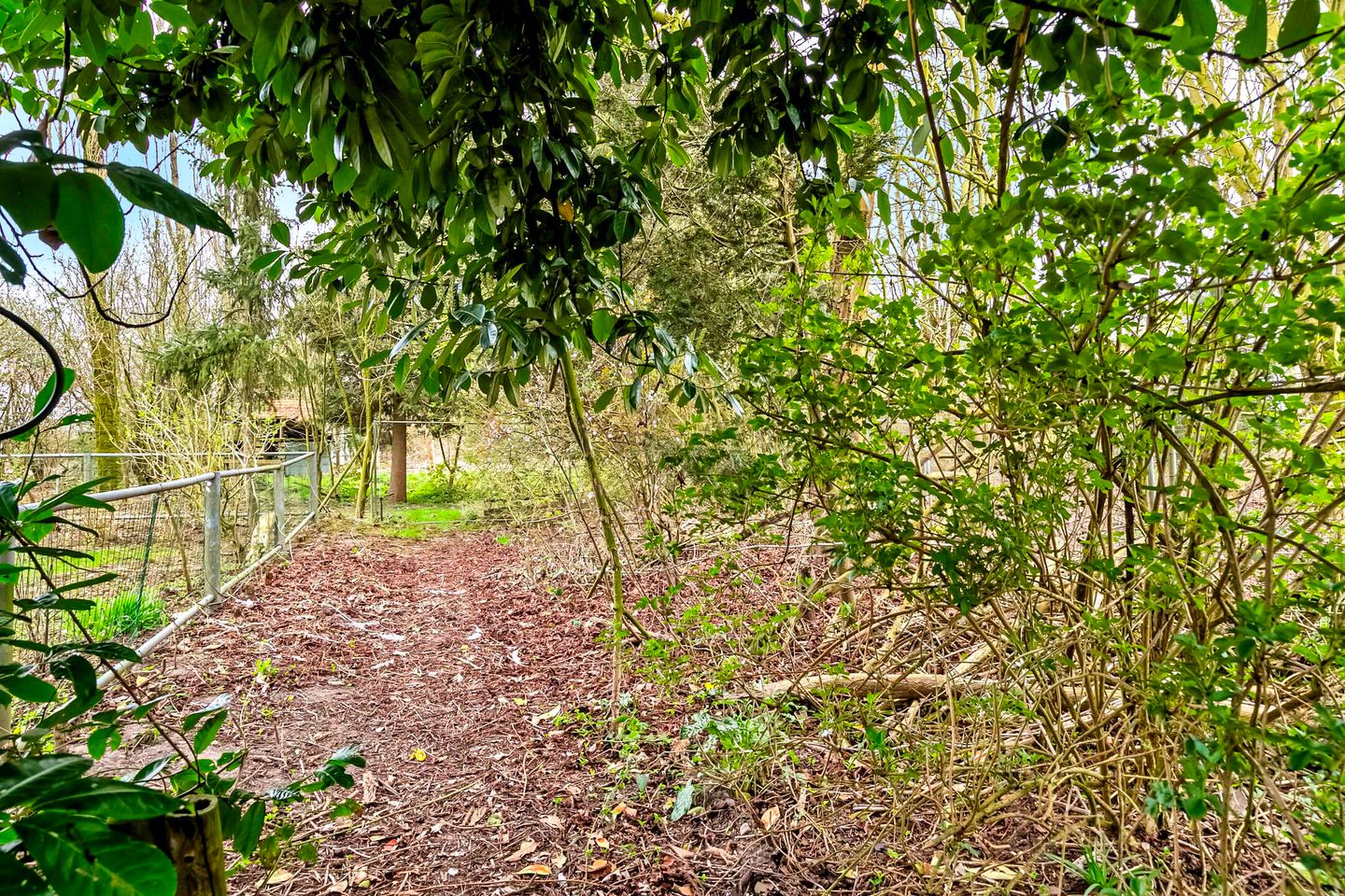 Foto 65 van Horstweg 3