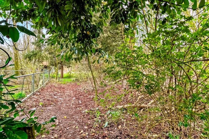 Photo 65 of Horstweg 3