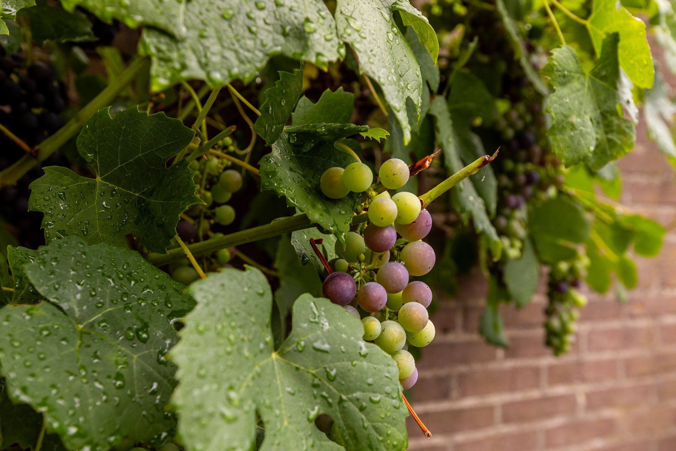 Photo 57 of Dorpsstraat 12