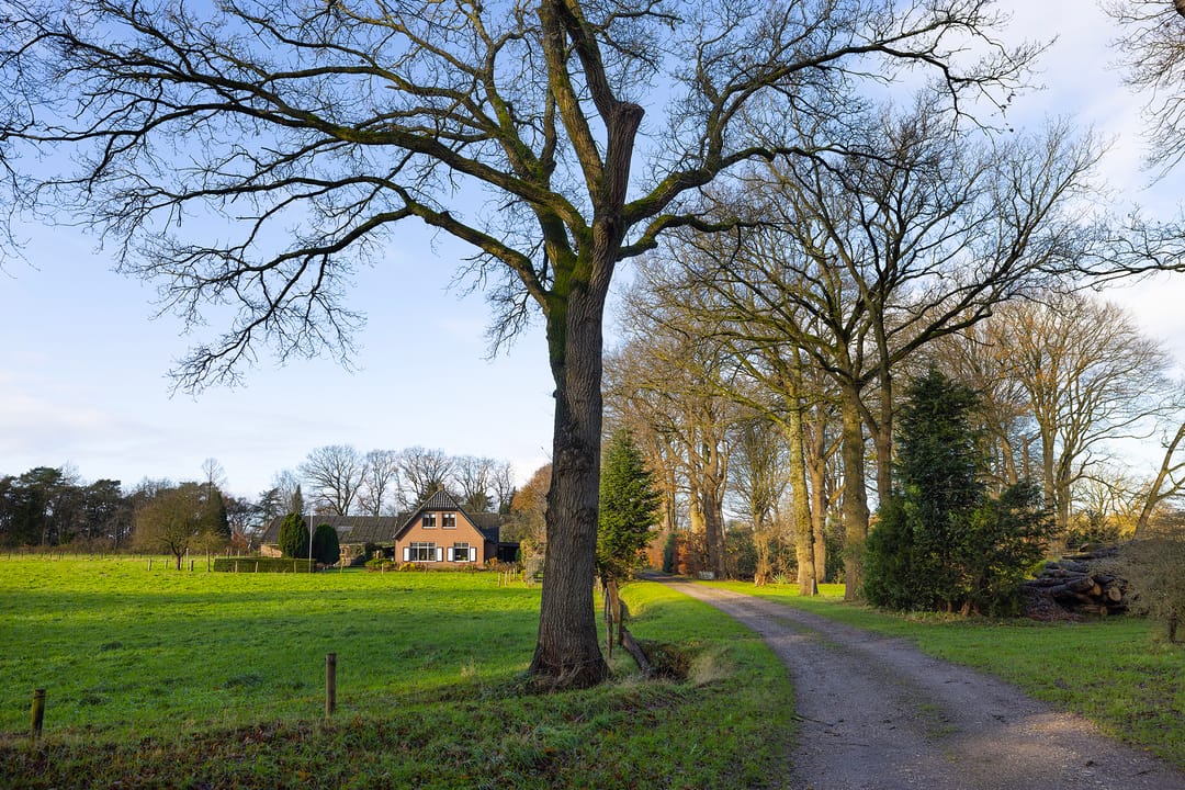 Foto 7 van Elspeterbosweg 106