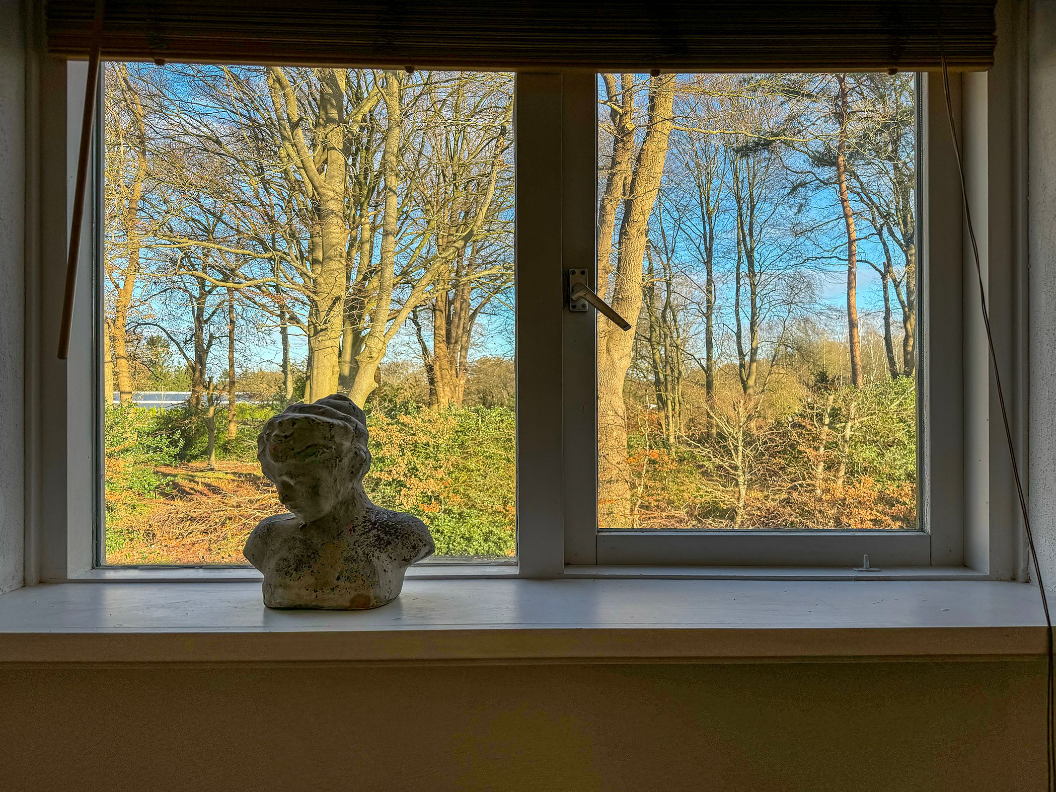 Foto 45 van Elspeterbosweg 106