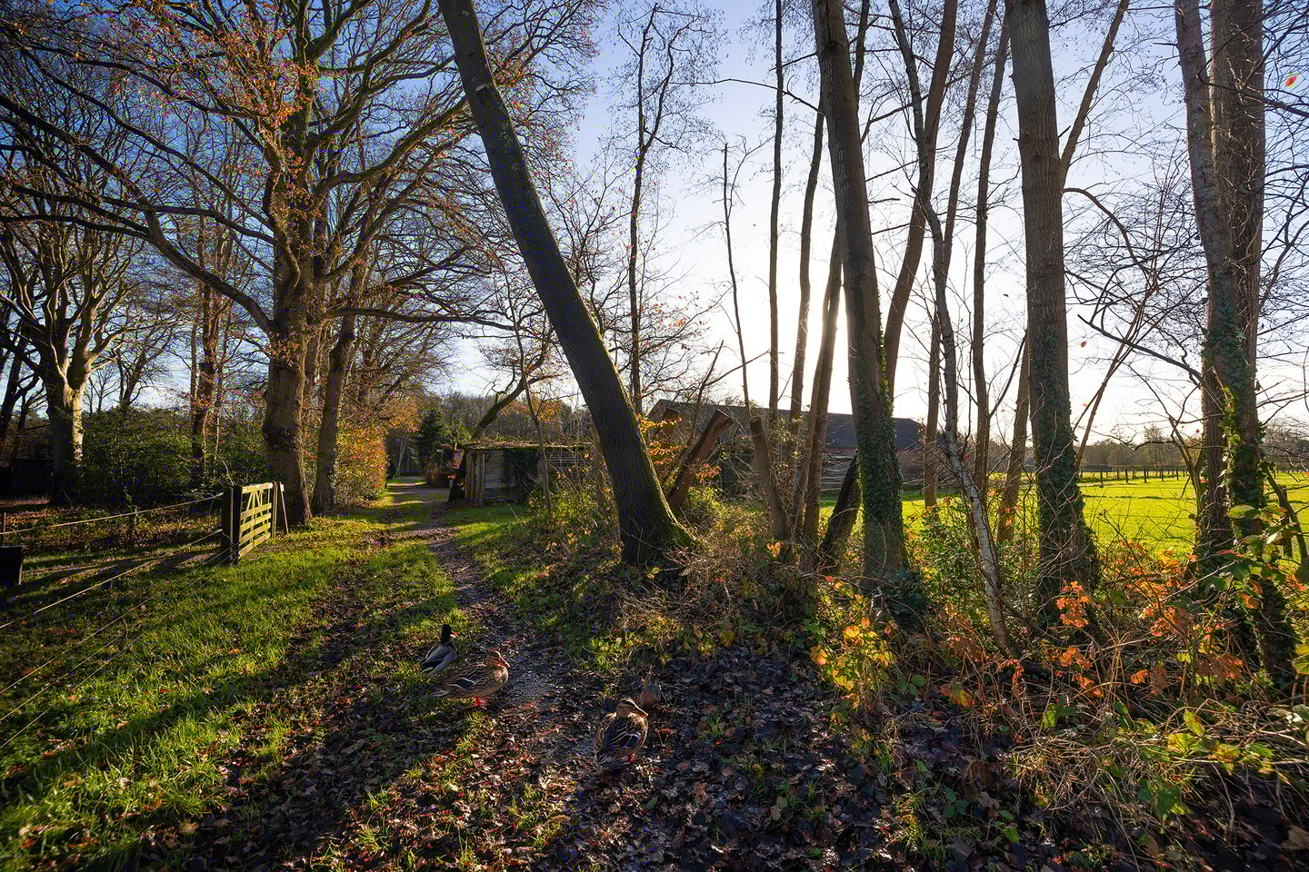 Foto 59 van Elspeterbosweg 106