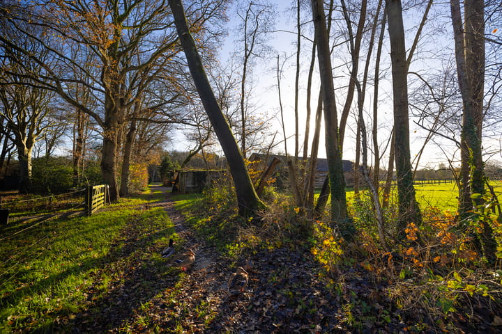 Foto 59 van Elspeterbosweg 106