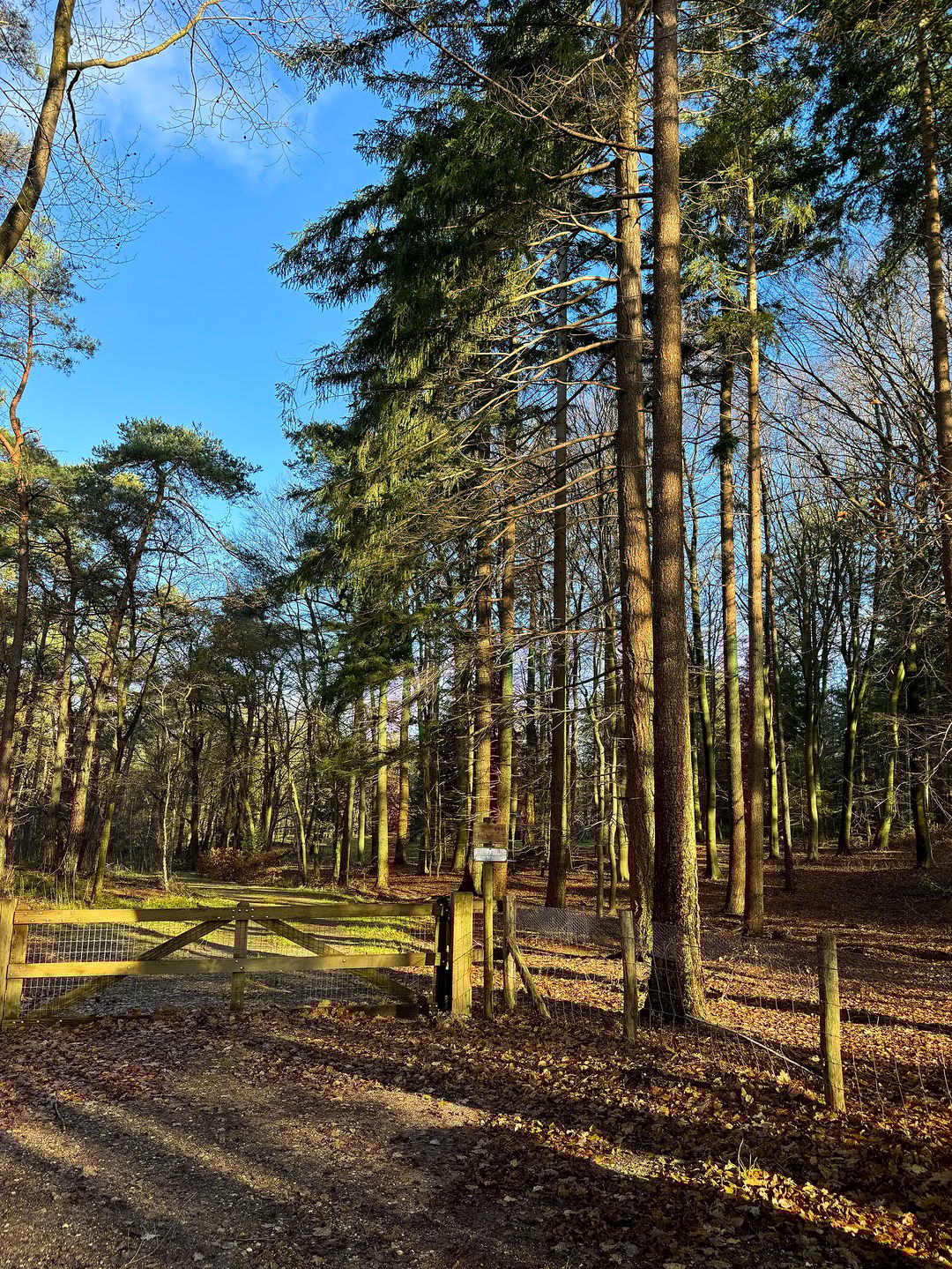 Foto 61 van Elspeterbosweg 106