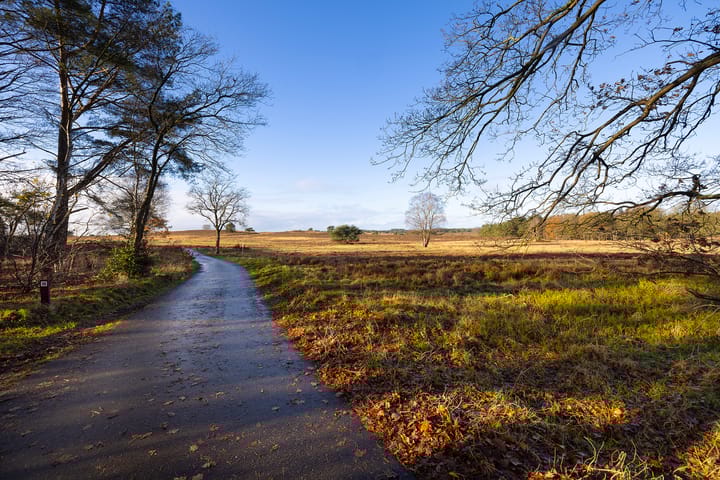 Foto 62 van Elspeterbosweg 106